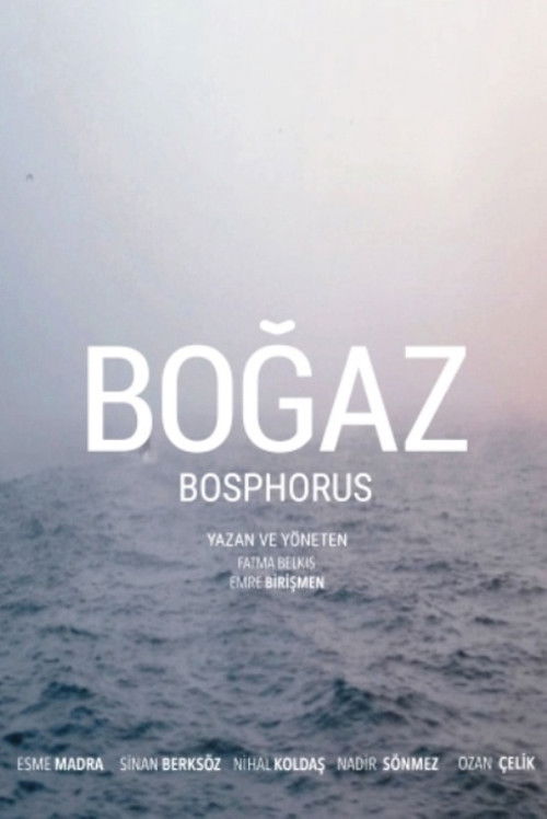 Bosphorus (2018) poster