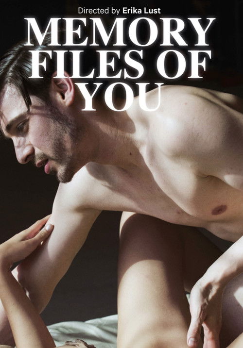 Memory Files of You (2016) poster