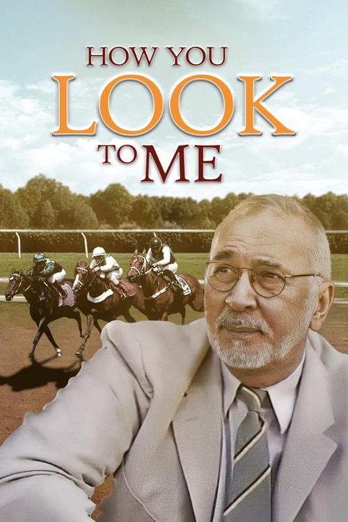 How You Look to Me (2005) poster