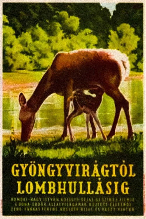 Gyöngyvirágtól lombhullásig (1953) poster
