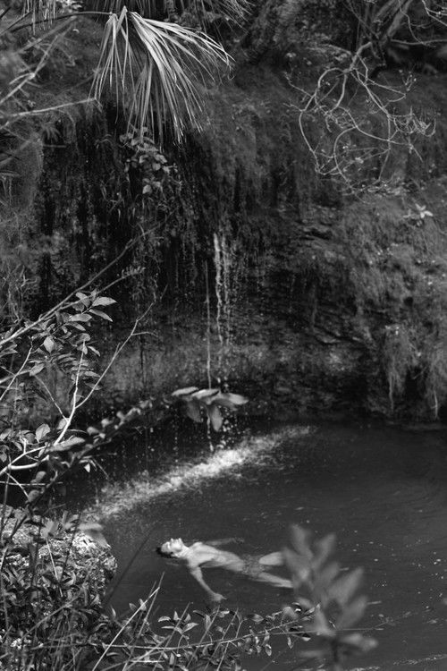 The Boy Artist (2008) poster