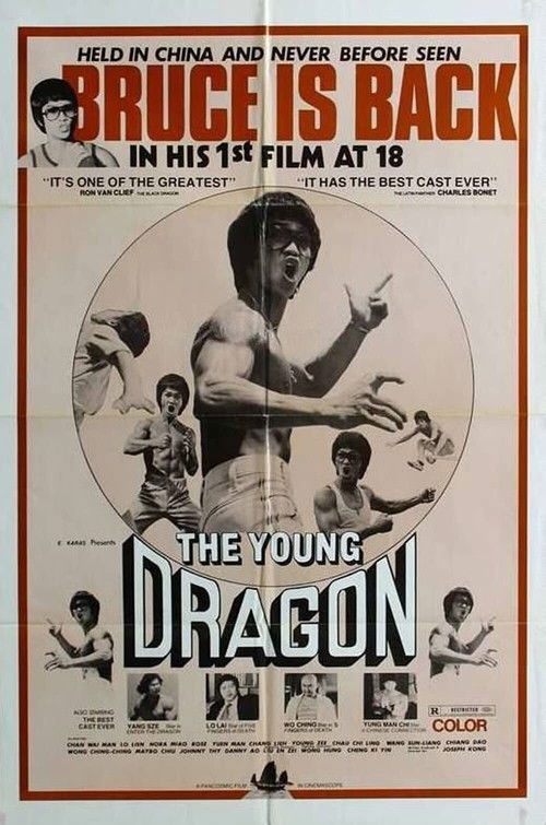 Young Dragon (1979) poster