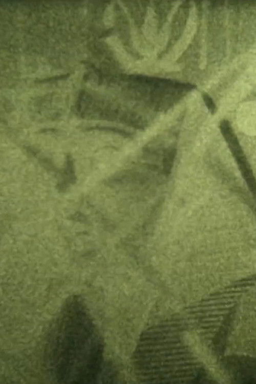 Visit to the Museum (2021) poster