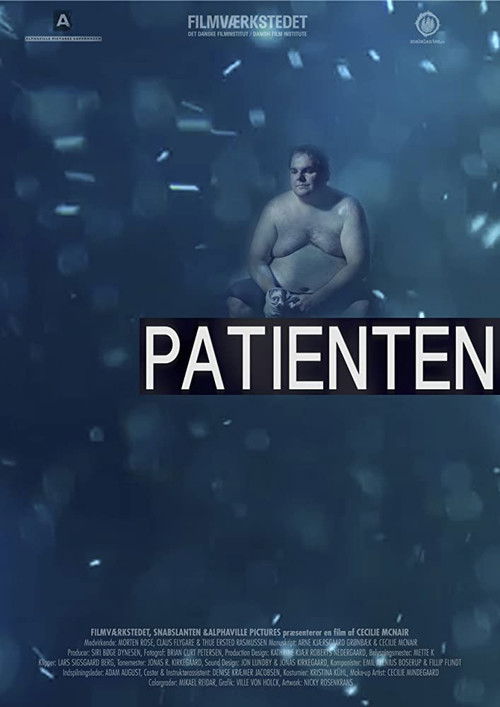 Patienten (2013) poster