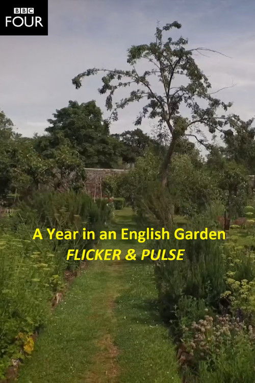 Flicker & Pulse (2016) poster