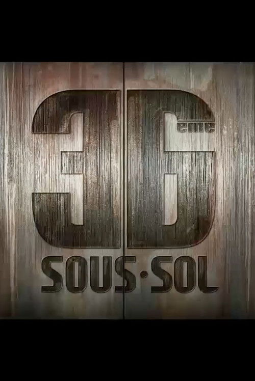 36ème Sous-sol (2010) poster