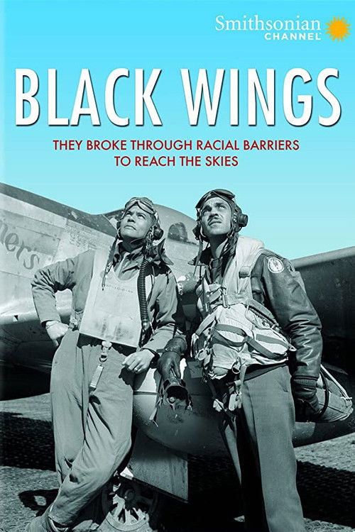 Black Wings (2012) poster