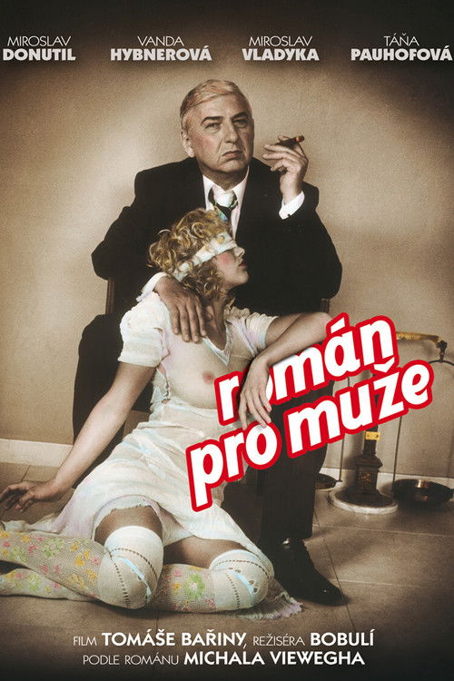 Román pro muže (2010) poster