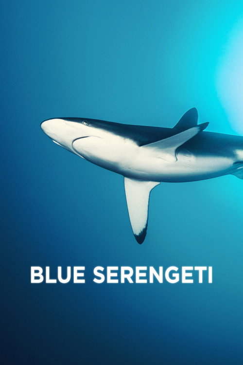 Blue Serengeti poster