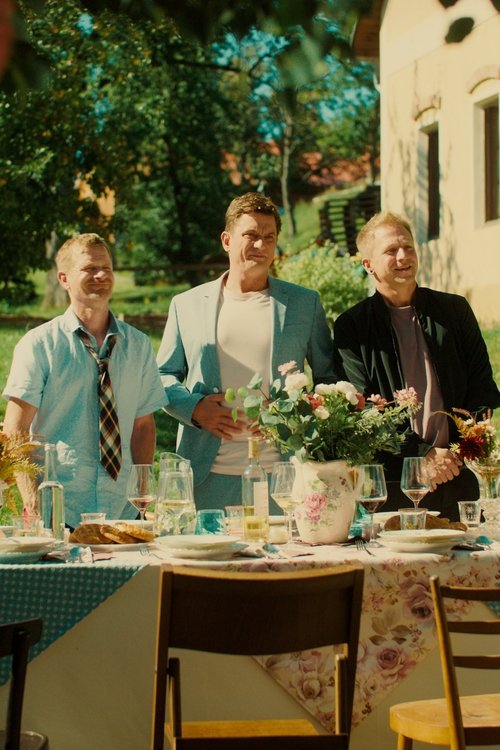 Přání k narozeninám 2 (2026) poster