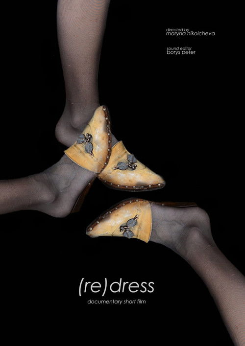 (re)dress (2019) poster