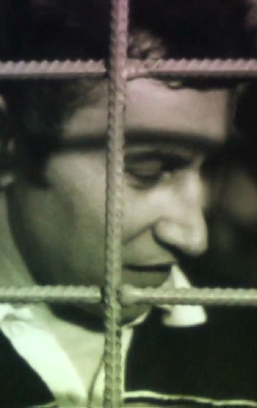 Champion Number One (1991) poster