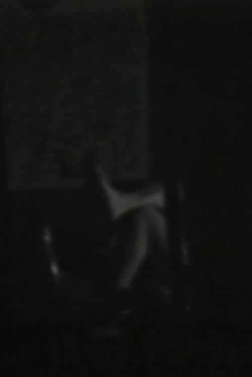 Chinatown Voyeur (1971) poster