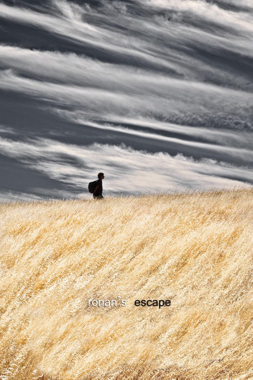 Ronan's Escape (2010) poster