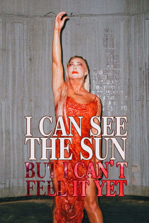 I Can See the Sun But I Can't Feel It Yet (2023) poster