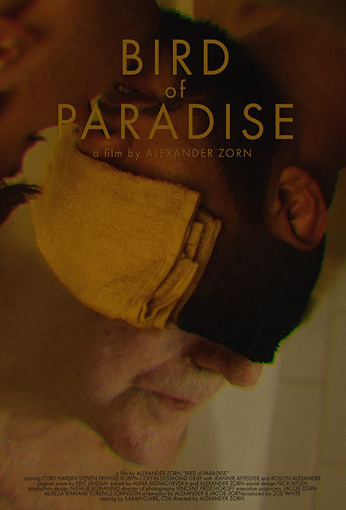 Bird of Paradise (2019) poster
