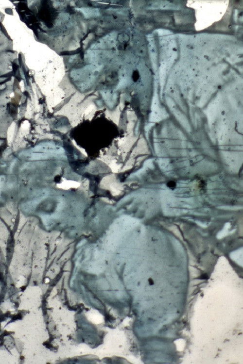 Köln Stadtgarten (1988) poster