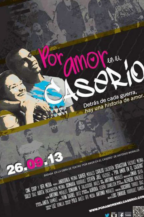 Por amor en el caserío (2013) poster