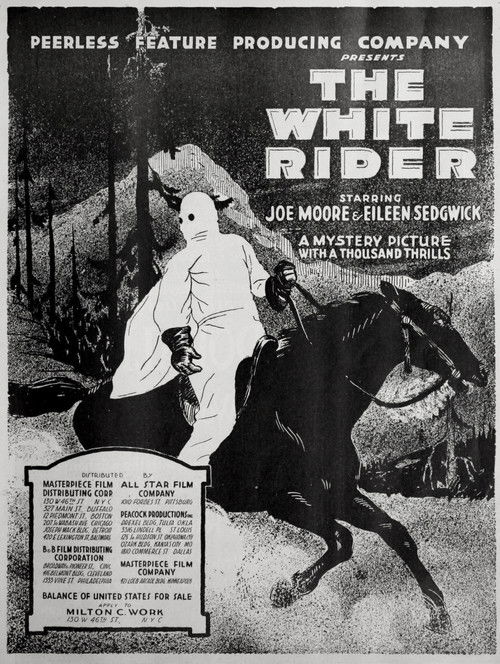 The White Rider (1920) poster