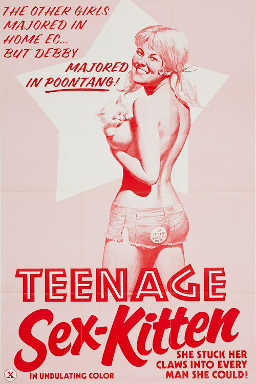 Teenage Sex Kitten (1975) poster