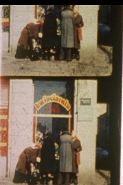 Notes for a Polish Jew (2012) poster