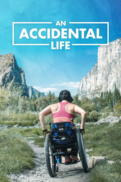 An Accidental Life (2022) poster