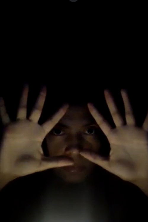 Pytuhem: A Letter in Defense of the Guardians of the Forest (2020) poster