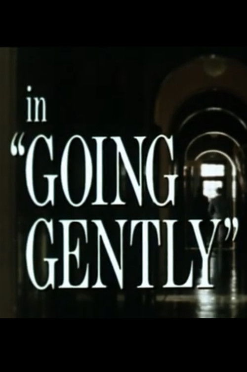 Going Gently (1981) poster