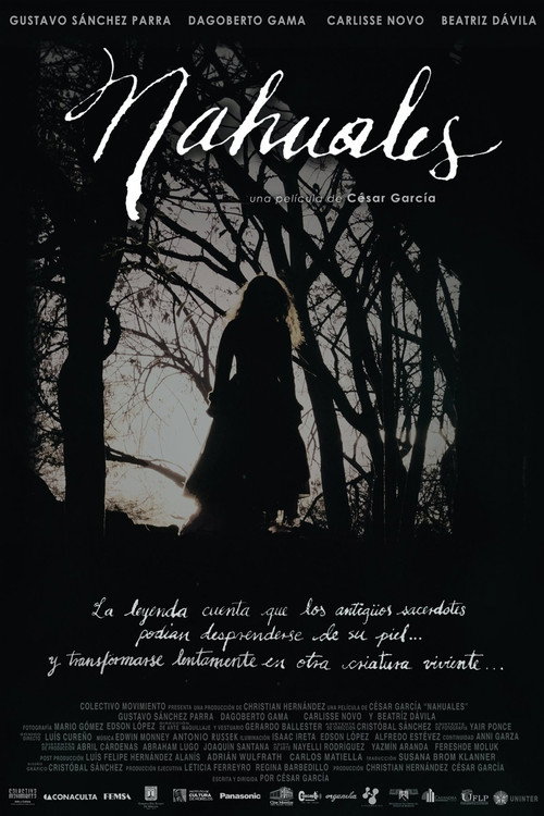 Nahuales (2013) poster