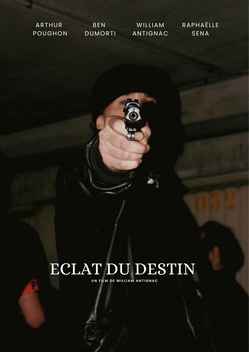Éclat du destin (2024) poster