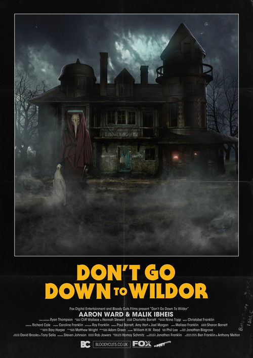 Don’t Go Down to Wildor (2018) poster
