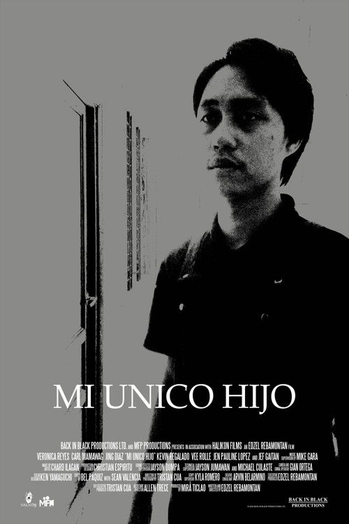 Mi Unico Hijo (2024) poster