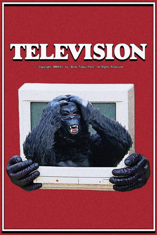 Television (2025) poster