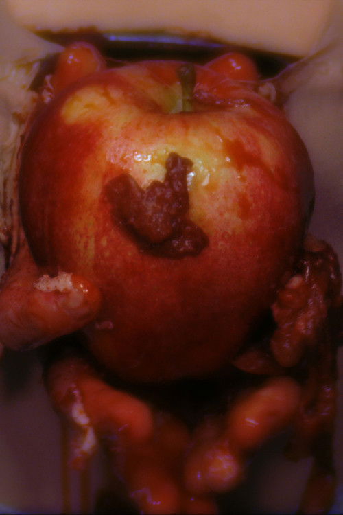 Pudding (2015) poster