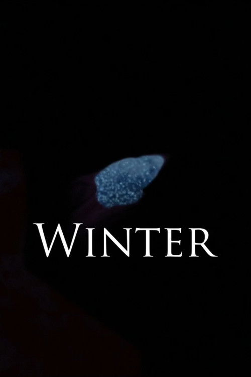 Winter (2020) poster