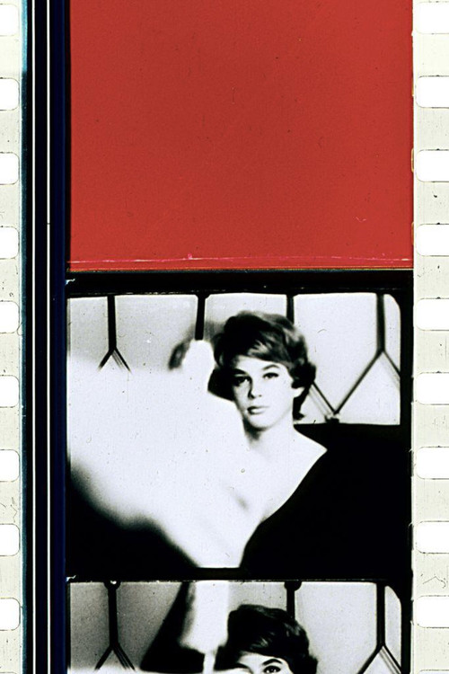 Schwechater (1958) poster