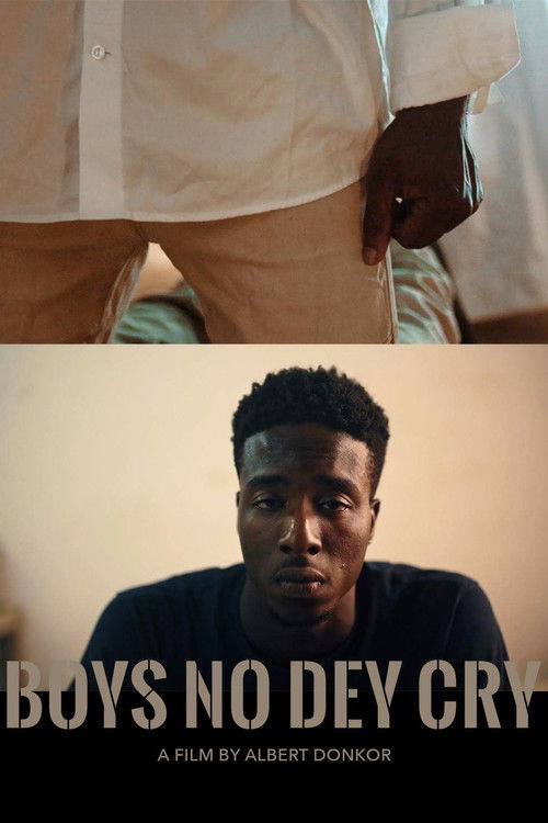 Boys No Dey Cry (2019) poster