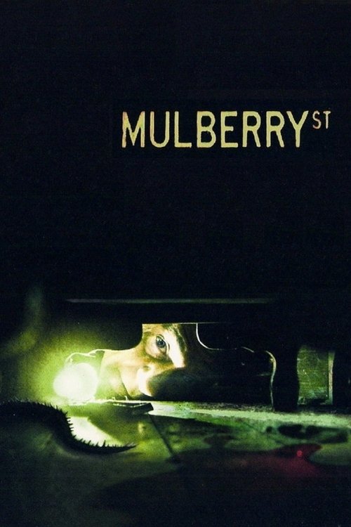 Mulberry Sokağı (2006) poster