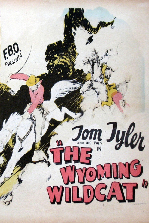 The Wyoming Wildcat (1925) poster