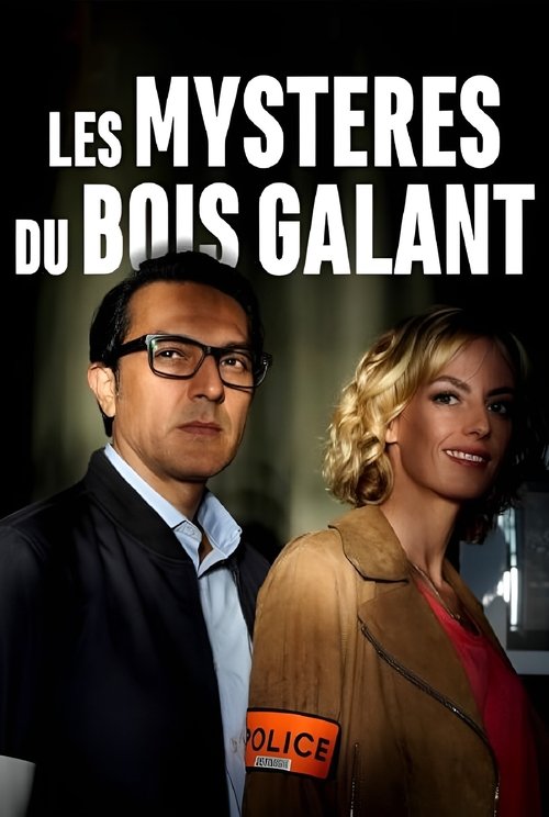 Les Mystères du Bois Galant (2019) poster