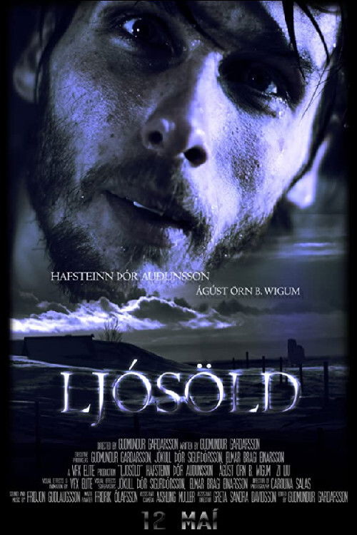 LightAge (2016) poster