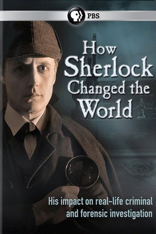 How Sherlock Changed the World (2013) poster