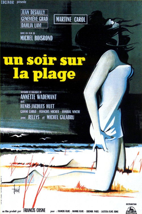 One Night at the Beach (1961) poster