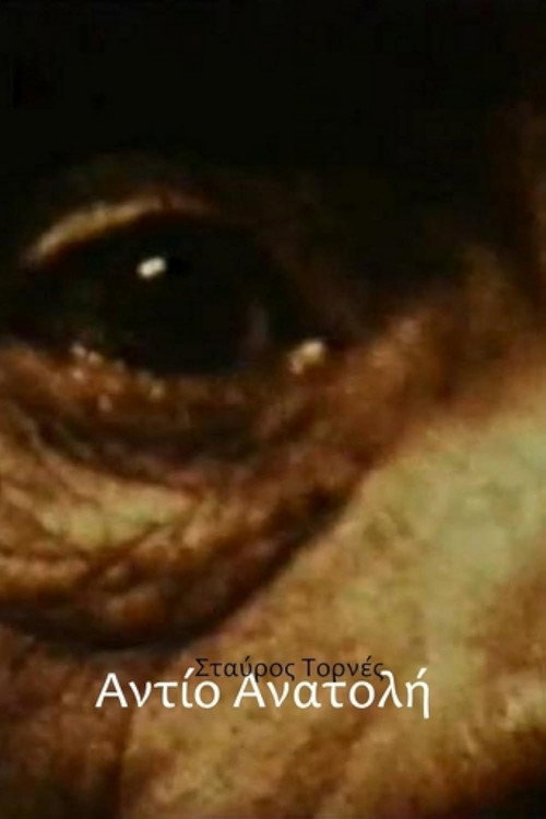 Addio Anatolia (1976) poster