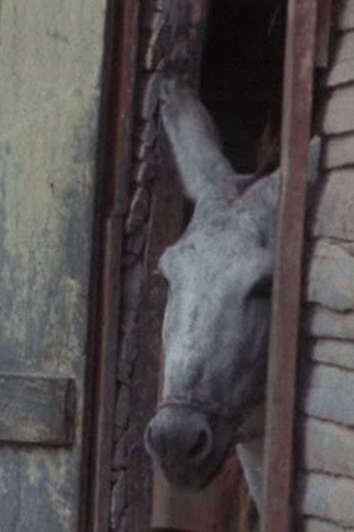 Machete Gillette... Mama (1989) poster