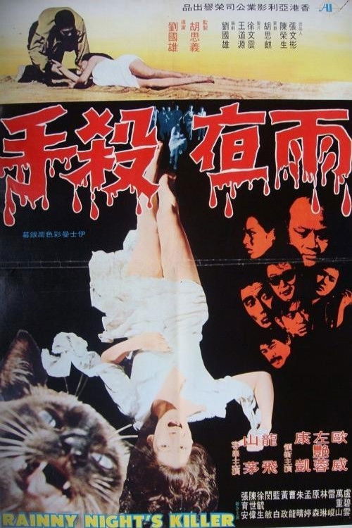 Rainy Night's Killer (1974) poster
