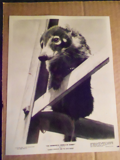 Charlie Crowfoot and the Coati Mundi (1971) poster