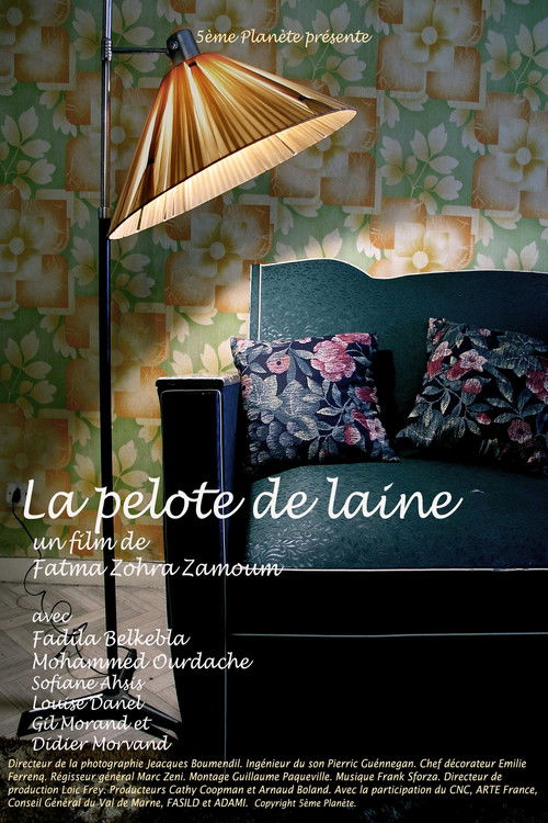 La Pelote de Laine (2006) poster