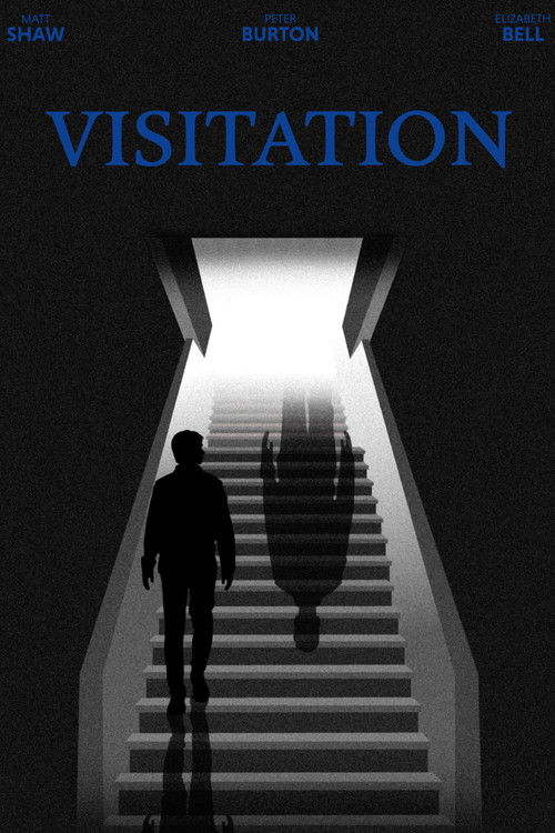 Visitation (2026) poster