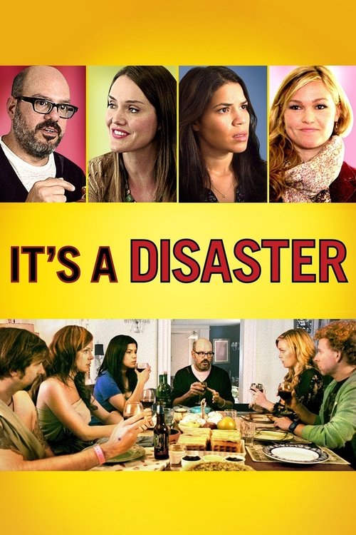 It's a Disaster (2013) poster